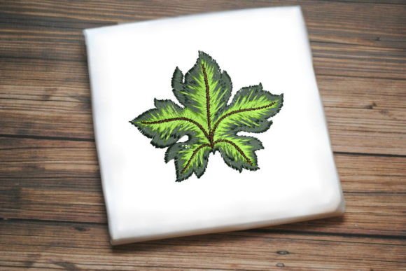 Beautiful Grape Leaf