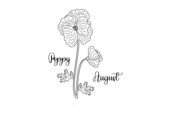 Birth Month Flowers - August - Poppy
