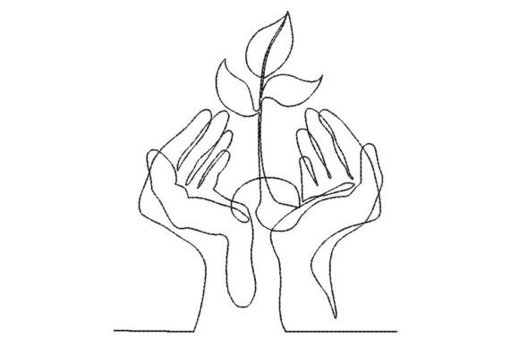 Growing Plant in the Palms
