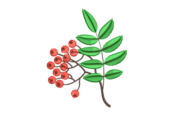 Plant Embroidery Design Review