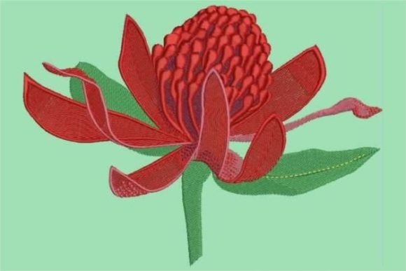Waratah: A Bold Embroidery Design